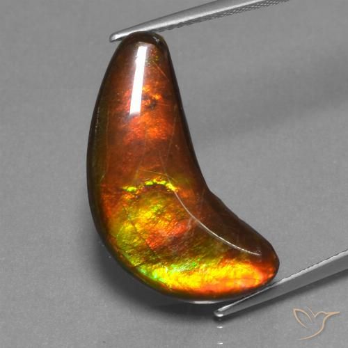 12.08ct 天然 マルチカラー アンモライト, ファンシー, オペーク