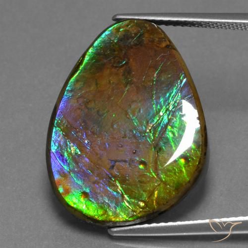 17.46ct 天然 マルチカラー アンモライト, ファンシー, オペーク