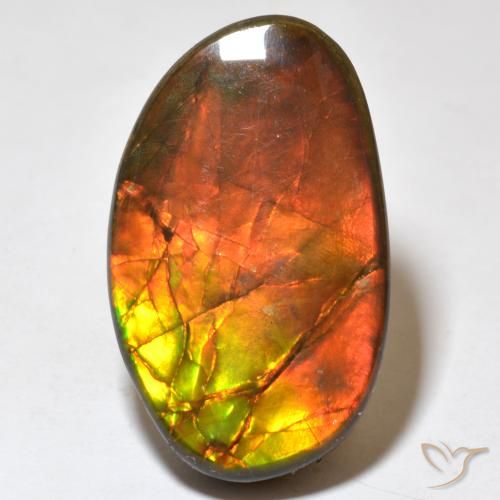 21.93ct 天然 マルチカラー アンモライト, ファンシー, オペーク