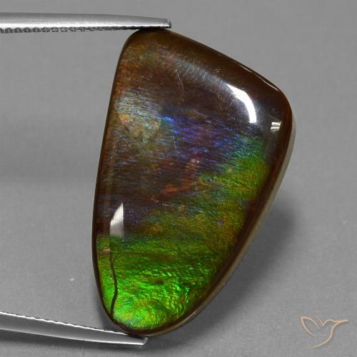 22.78ct 天然 マルチカラー アンモライト, ファンシー, オペーク