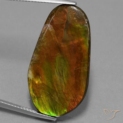 18.71ct 天然 マルチカラー アンモライト, ファンシー, オペーク