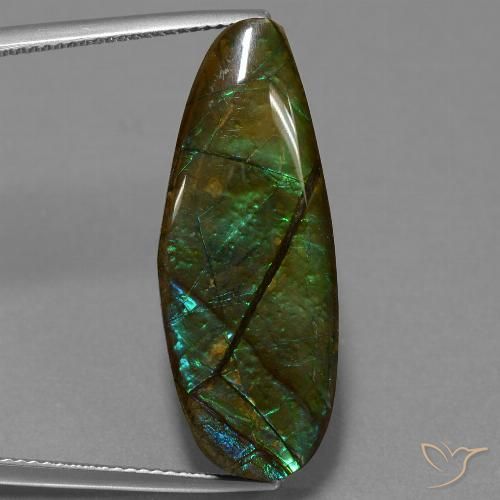 14.36ct 天然 マルチカラー アンモライト, ファンシー, オペーク