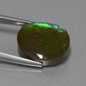 10.58カラットの天然マルチカラーアンモライト、ファンシーシェイプ、オペーク