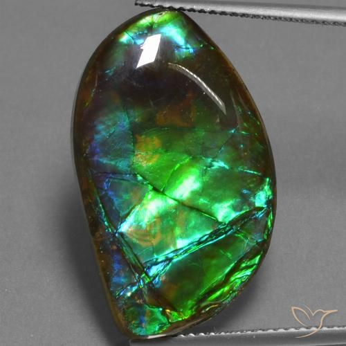 20.87ct 天然 マルチカラー アンモライト, ファンシー, オペーク