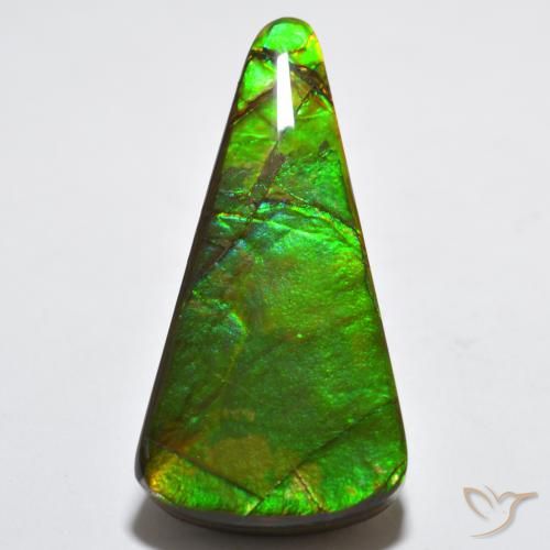 15.83ct 天然 マルチカラー アンモライト, トリリオン, オペーク