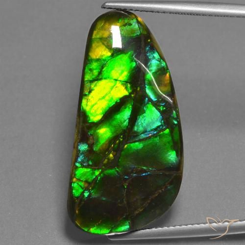 23.45ct 天然 マルチカラー アンモライト, ファンシー, オペーク