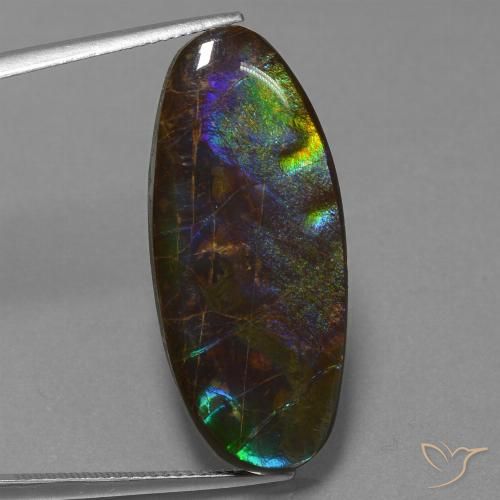 22.01ct 天然 マルチカラー アンモライト, 楕円形, オペーク