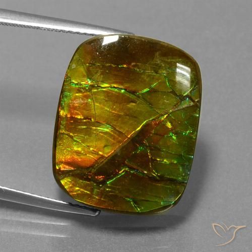 14.83ct 天然 マルチカラー アンモライト, クッション, オペーク