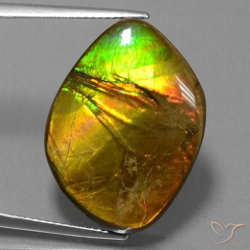 16.27ct 天然 マルチカラー アンモライト, ファンシー, オペーク