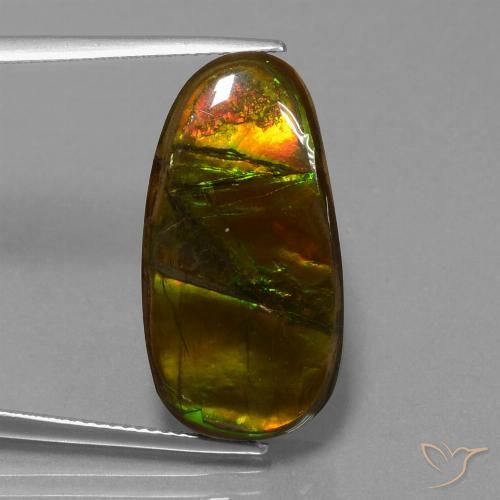 15.26ct 天然 マルチカラー アンモライト, ファンシー, オペーク