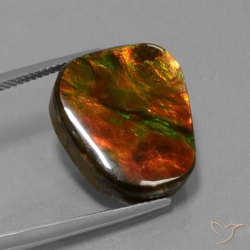 14.52ct 天然 マルチカラー アンモライト, ファンシー, オペーク