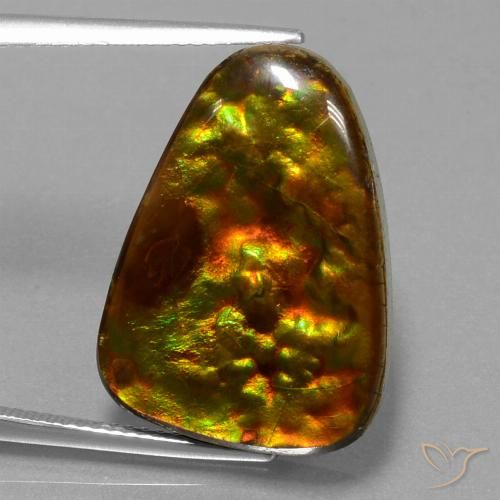 15.67ct 天然 マルチカラー アンモライト, トリリオン, オペーク