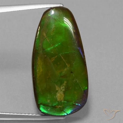 13.82ct 天然 マルチカラー アンモライト, ファンシー, オペーク