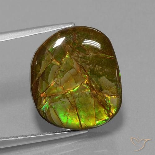 13.05ct 天然 マルチカラー アンモライト, ファンシー, オペーク