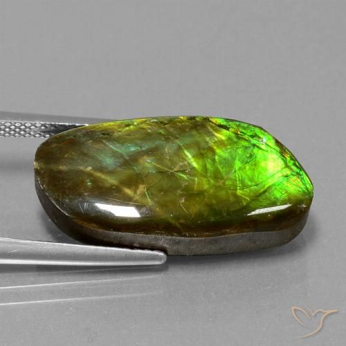 11.74ct 天然 マルチカラー アンモライト, ファンシー, オペーク