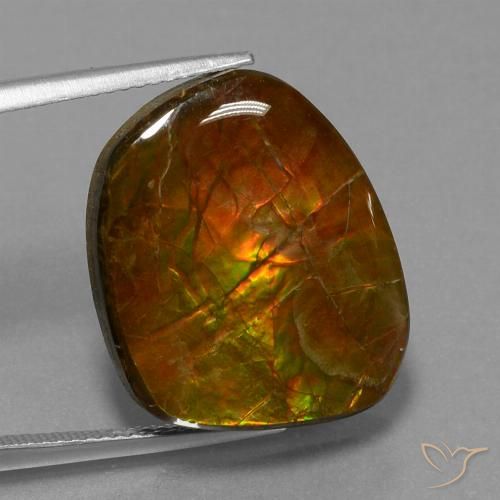 16.13ct 天然 マルチカラー アンモライト, ファンシー, オペーク
