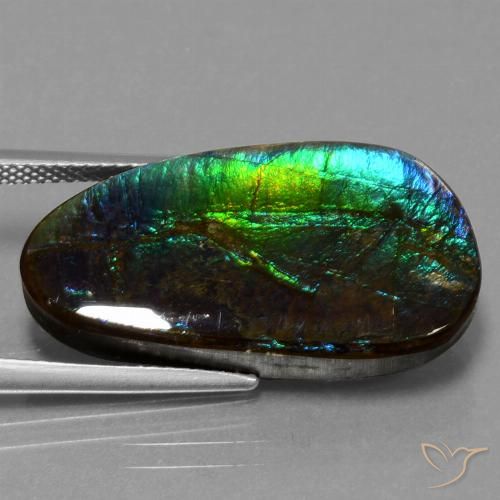 16.95ct 天然 マルチカラー アンモライト, ファンシー, オペーク