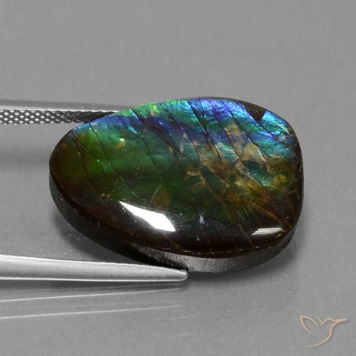 14.77ct 天然 マルチカラー アンモライト, ファンシー, オペーク