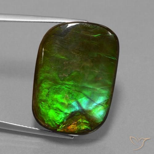 21.97ct 天然 マルチカラー アンモライト, クッション, オペーク