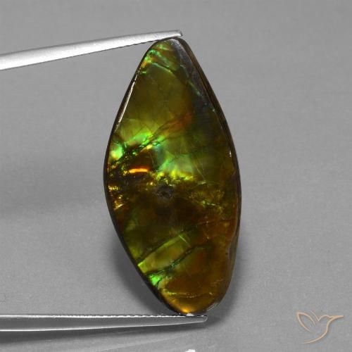 19.04ct 天然 マルチカラー アンモライト, ファンシー, オペーク