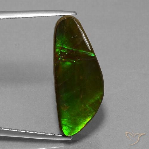 10.78ct 天然 マルチカラー アンモライト, ファンシー, オペーク