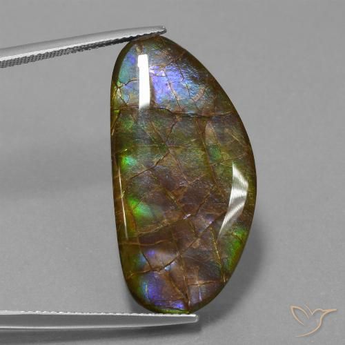26.24ct 天然 マルチカラー アンモライト, ファンシー, オペーク