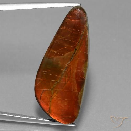 13.94ct 天然 マルチカラー アンモライト, ファンシー, オペーク