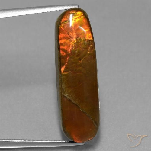 10.96ct 天然 マルチカラー アンモライト, ファンシー, オペーク