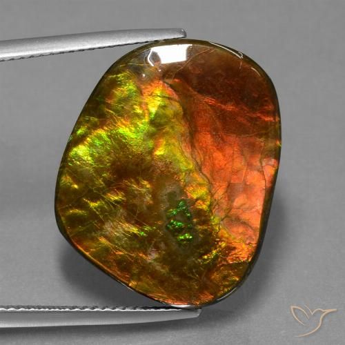 20.65ct 天然 マルチカラー アンモライト, ファンシー, オペーク
