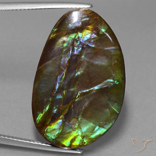 27.74ct 天然 マルチカラー アンモライト, ファンシー, オペーク