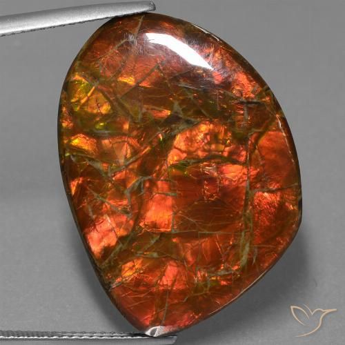 25.32ct 天然 マルチカラー アンモライト, ファンシー, オペーク