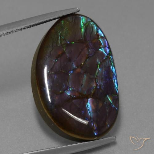 14.02ct 天然 マルチカラー アンモライト, ファンシー, オペーク