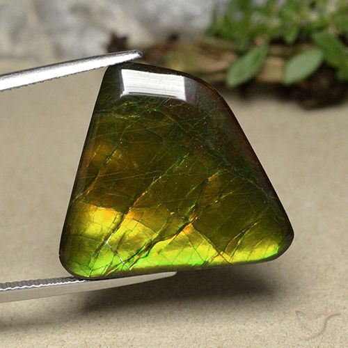 18.57ct 天然 マルチカラー アンモライト, ファンシー, オペーク