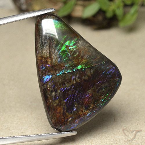 21.94ct 天然 マルチカラー アンモライト, ファンシー, オペーク