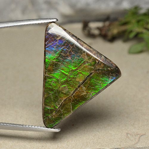 20.55ct 天然 マルチカラー アンモライト, トリリオン, オペーク