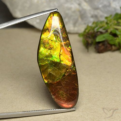 22.66ct 天然 マルチカラー アンモライト, ファンシー, オペーク