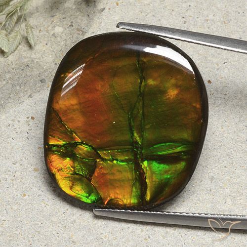 21.57ct 天然 マルチカラー アンモライト, クッション, オペーク