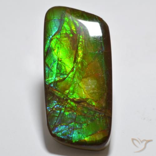 23.38ct 天然 マルチカラー アンモライト, ファンシー, オペーク