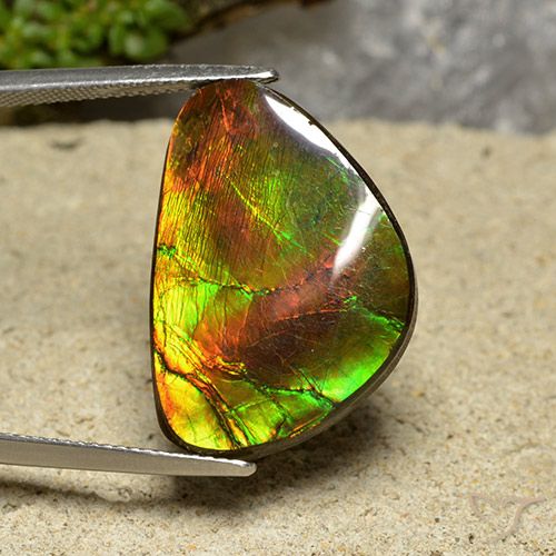 18.57ct 天然 マルチカラー アンモライト, ファンシー, オペーク