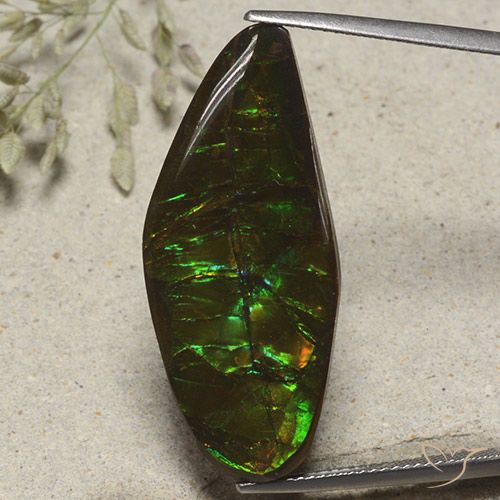 19.53ct 天然 マルチカラー アンモライト, ファンシー, オペーク
