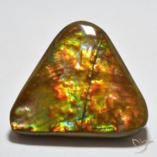 16.58ct 天然 マルチカラー アンモライト, トリリオン, オペーク