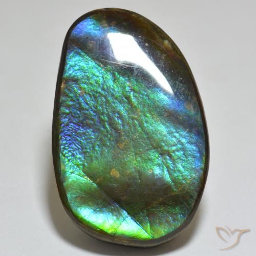 23.81ct 天然 マルチカラー アンモライト, ファンシー, オペーク