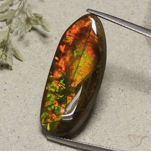 15.74ct 天然 マルチカラー アンモライト, ファンシー, オペーク
