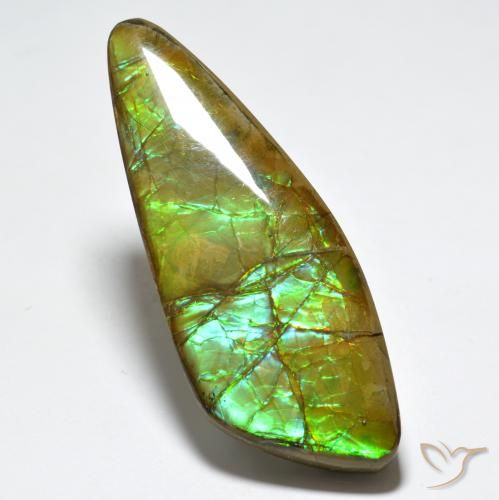 24.80ct 天然 マルチカラー アンモライト, ファンシー, オペーク