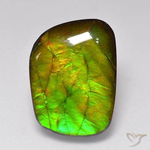 11.49ct 天然 マルチカラー アンモライト, ファンシー, オペーク