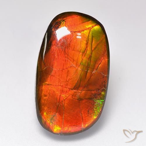 11.88ct 天然 マルチカラー アンモライト, ファンシー, オペーク