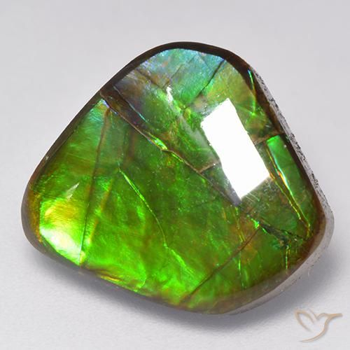 9.81ct 天然 マルチカラー アンモライト, ファンシー, オペーク