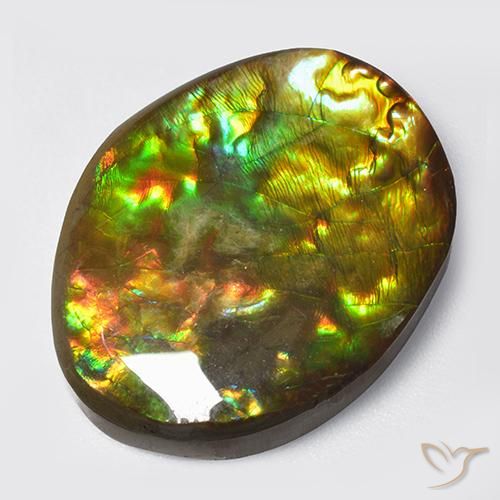 14.70ct 天然 マルチカラー アンモライト, ファンシー, オペーク