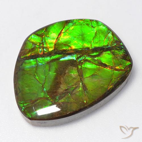 15.50ct 天然 マルチカラー アンモライト, ファンシー, オペーク