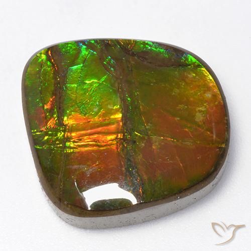 13.06ct 天然 マルチカラー アンモライト, ファンシー, オペーク